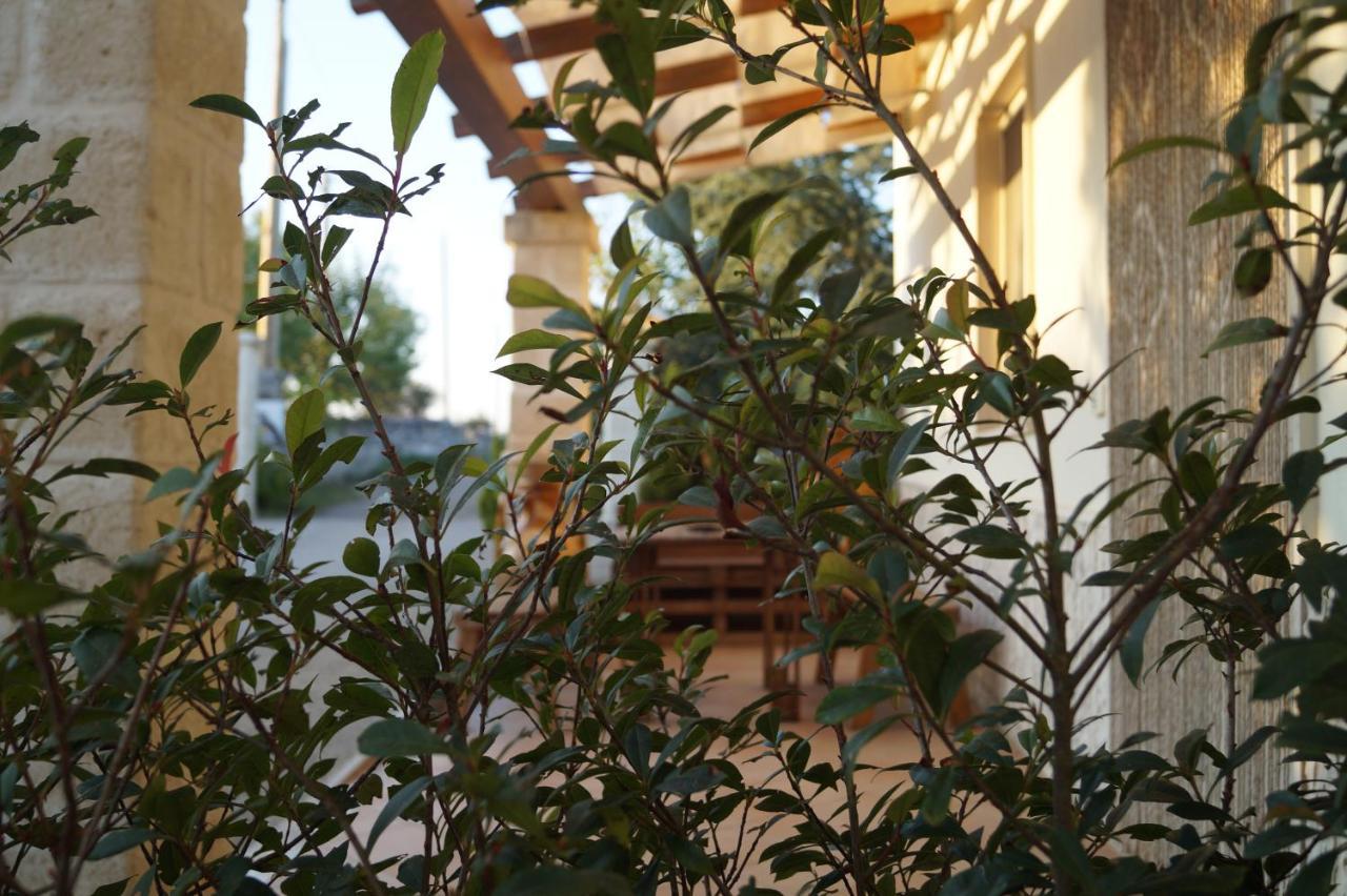 La Casa Del Nonno Bed & Breakfast Alberobello Room photo