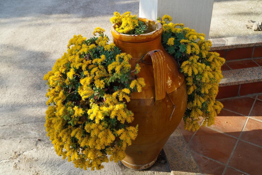 La Casa Del Nonno Bed & Breakfast Alberobello Exterior photo