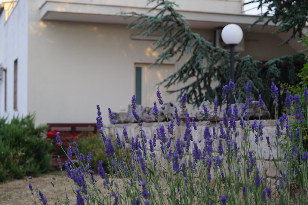 La Casa Del Nonno Bed & Breakfast Alberobello Exterior photo