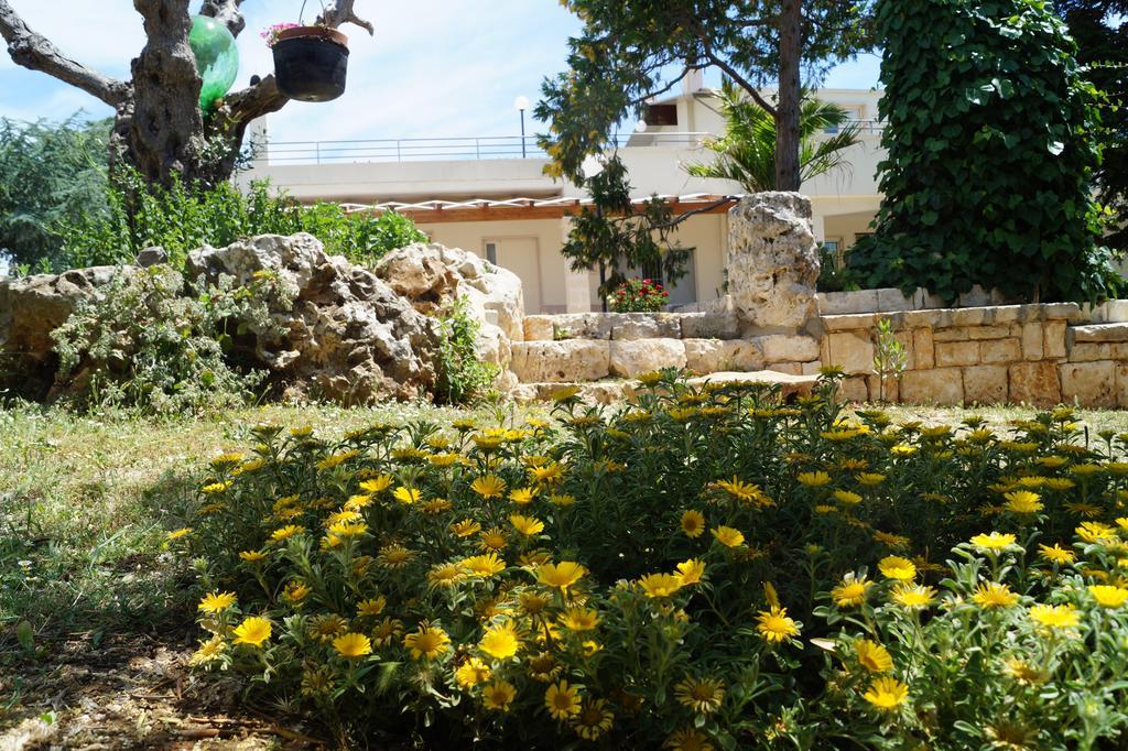 La Casa Del Nonno Bed & Breakfast Alberobello Exterior photo