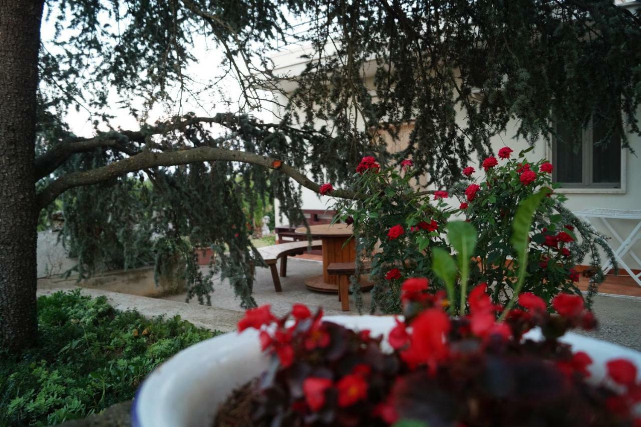 La Casa Del Nonno Bed & Breakfast Alberobello Exterior photo